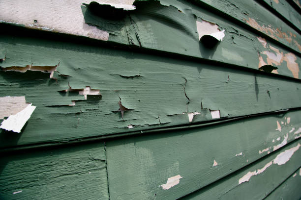 Best Fiber Cement Siding Installation  in East Niles, CA