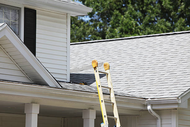 Best Fiber Cement Siding Installation  in East Niles, CA